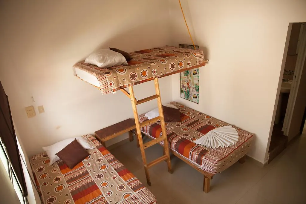 فندق Casa Alphela بلايا ديل كارمن