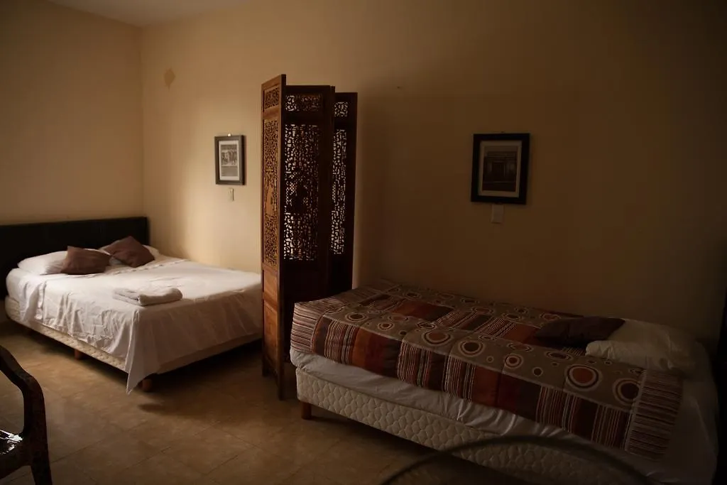 بيت ضيافة فندق Casa Alphela بلايا ديل كارمن