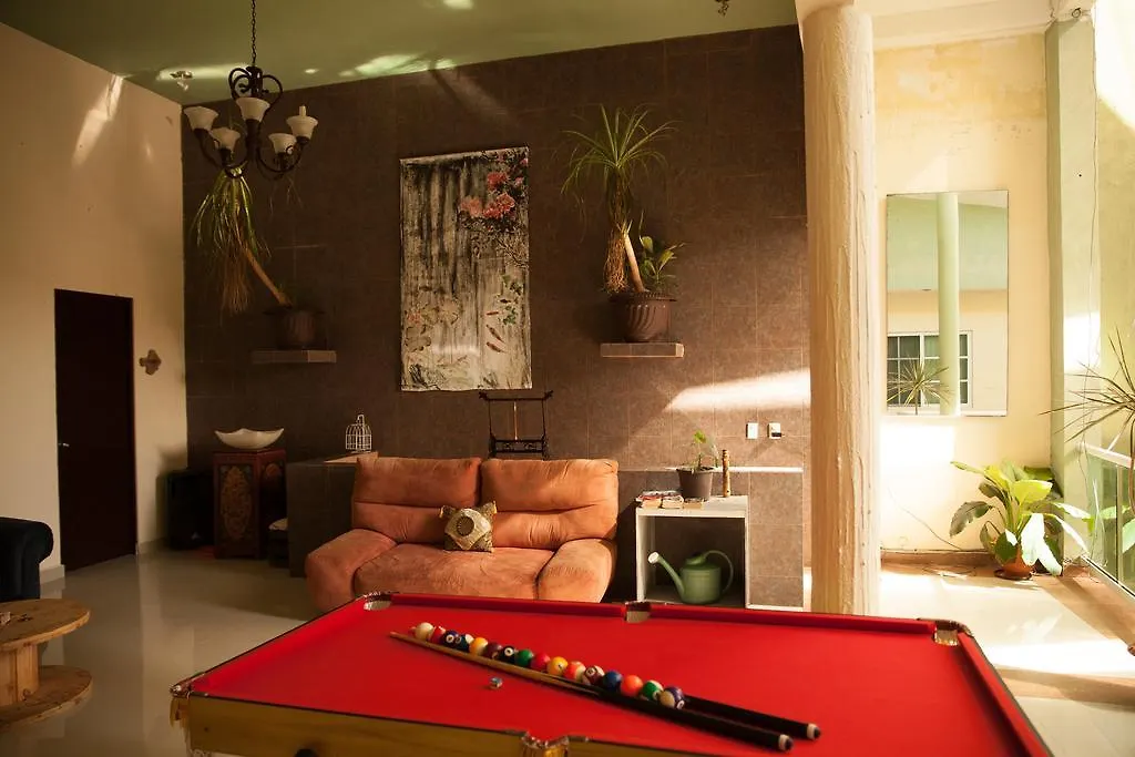 بيت ضيافة فندق Casa Alphela بلايا ديل كارمن